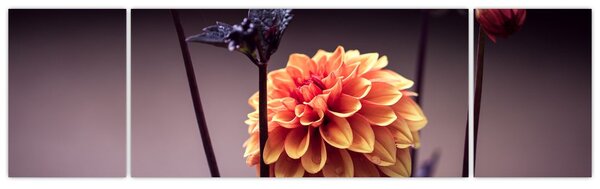 Obraz - Kwiat (170x50 cm)
