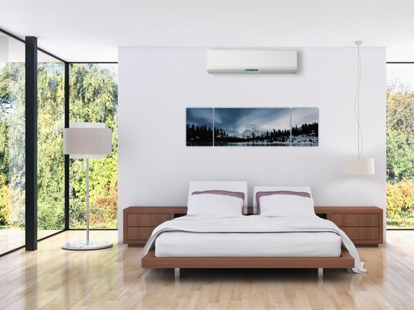 Obraz - Na zamarzniętym jeziorze (170x50 cm)