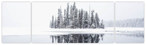 Obraz - Było biało (170x50 cm)