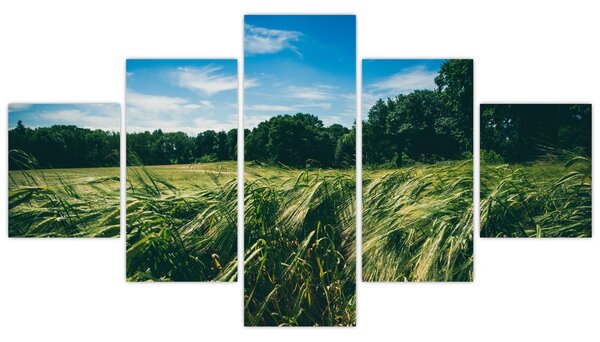 Obraz łąki i lasu (125x70 cm)