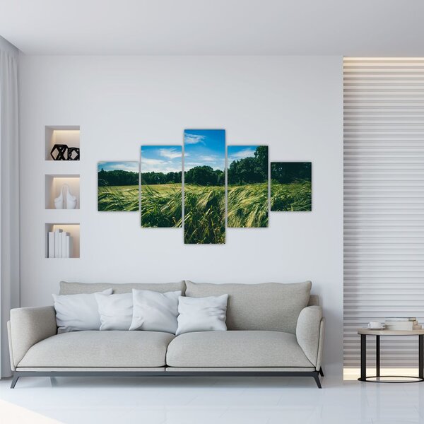 Obraz łąki i lasu (125x70 cm)