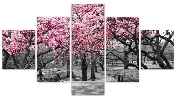 Obraz drzew magnolii (125x70 cm)