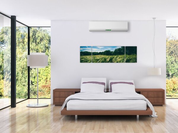 Obraz łąki i lasu (170x50 cm)