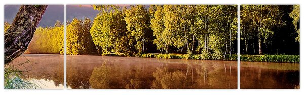 Obraz - Za rzeką (170x50 cm)