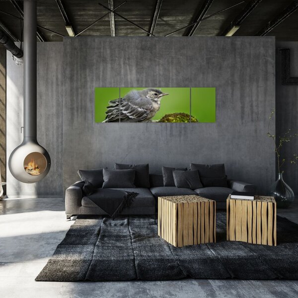 Obraz - Muchołówka (170x50 cm)