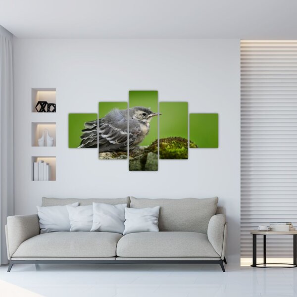 Obraz - Muchołówka (125x70 cm)
