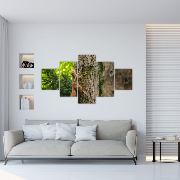 Obraz - wiewiórka (125x70 cm)
