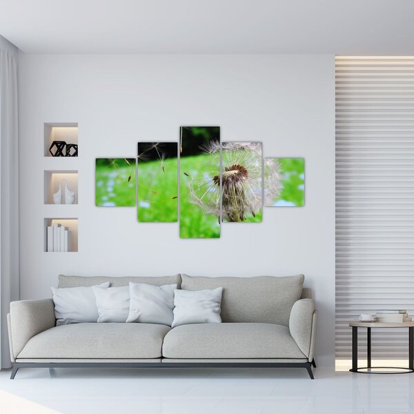 Obraz dmuchawca (125x70 cm)