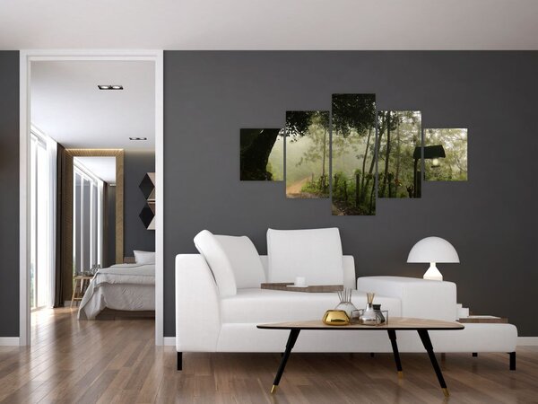 Obraz porannej mgły (125x70 cm)