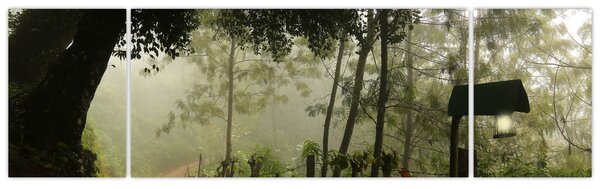 Obraz porannej mgły (170x50 cm)