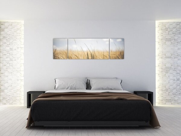 Obraz ziarna (170x50 cm)