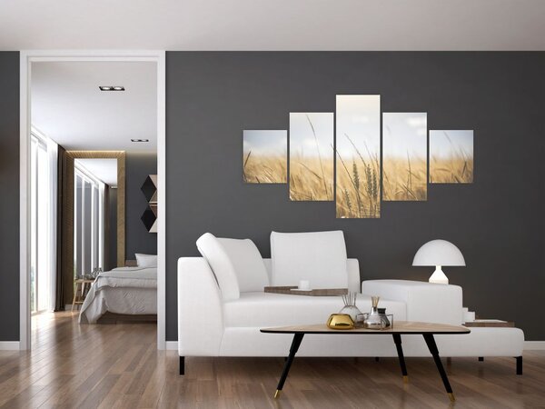 Obraz ziarna (125x70 cm)