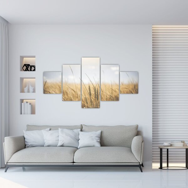 Obraz ziarna (125x70 cm)