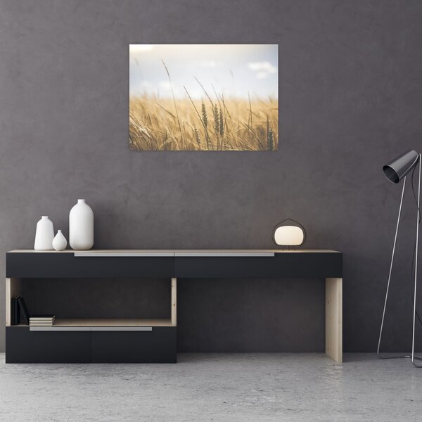 Obraz ziarna (70x50 cm)