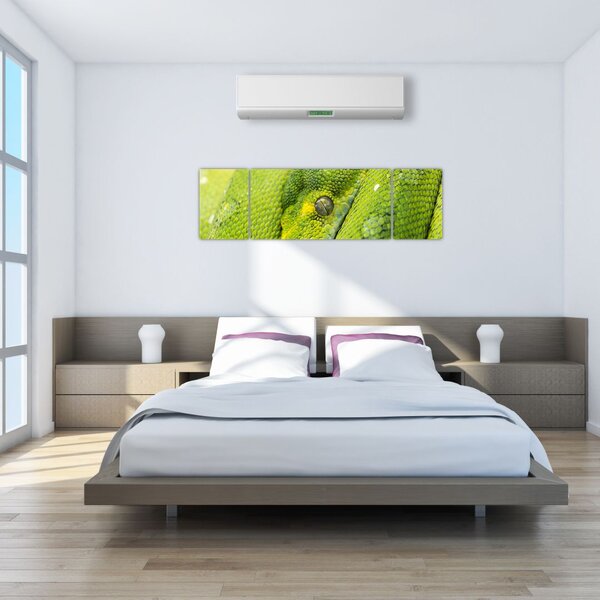 Obraz węża (170x50 cm)