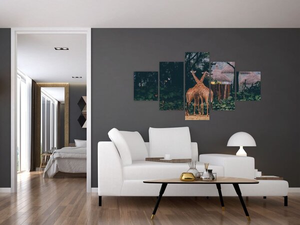 Obraz dwóch żyraf (125x70 cm)