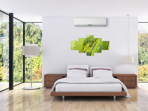 Obraz węża (125x70 cm)