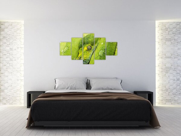 Obraz węża (125x70 cm)