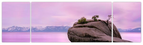 Obraz kamienia w morzu (170x50 cm)
