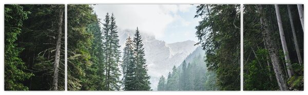 Obraz leśnego jeziora (170x50 cm)