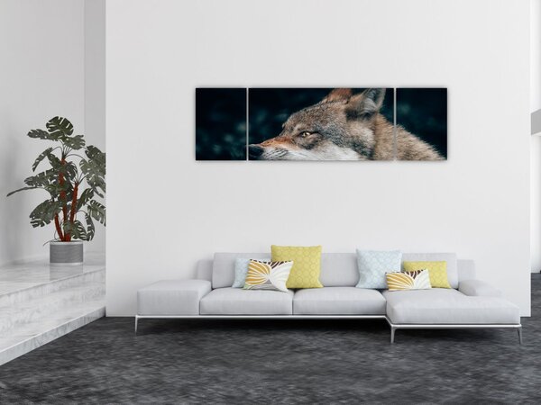 Obraz wilka (170x50 cm)