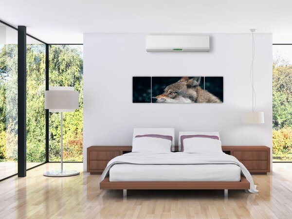 Obraz wilka (170x50 cm)
