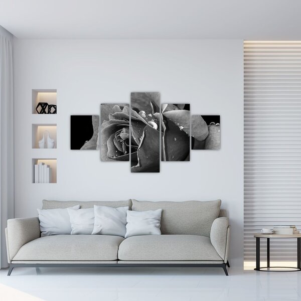 Obraz róży - czarno - biały (125x70 cm)
