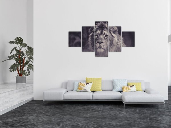 Obraz lwa (125x70 cm)