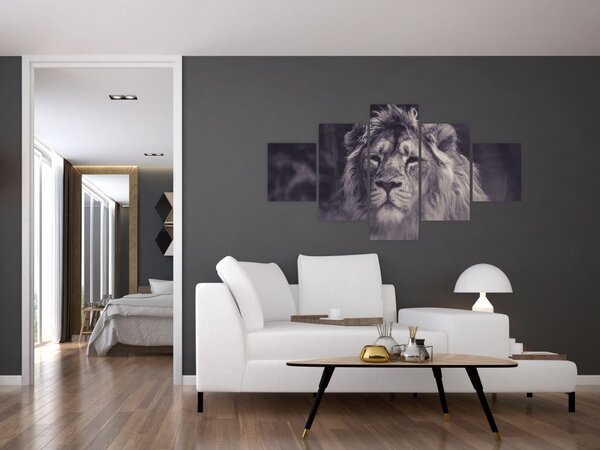 Obraz lwa (125x70 cm)