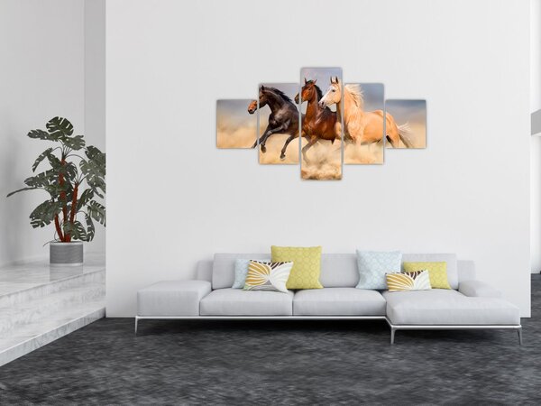 Obraz - Dzikie konie (125x70 cm)