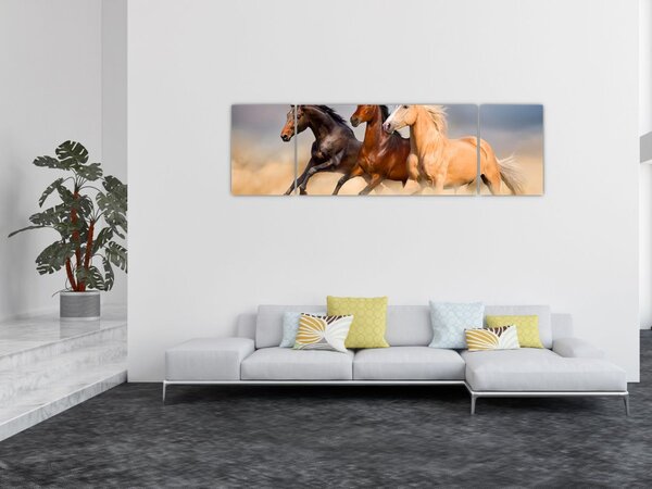 Obraz - Dzikie konie (170x50 cm)