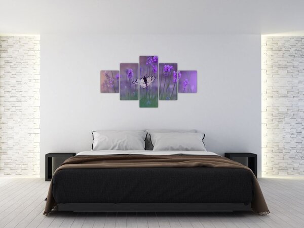 Obraz - Motyl w lawendach (125x70 cm)