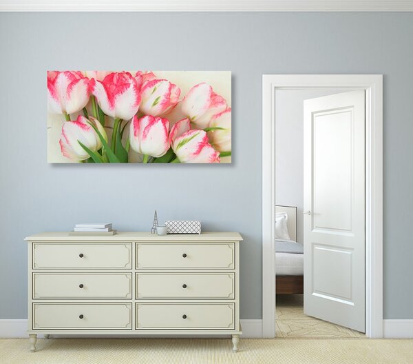 Obraz tulipany w wiosennej odsłonie