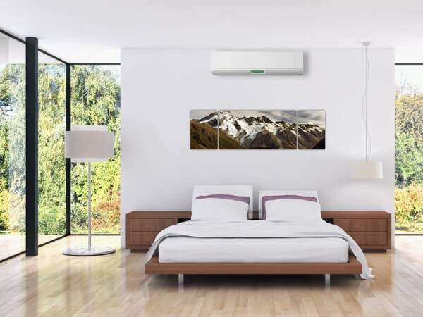 Obraz góry Sefton, Nowa Zelandia (170x50 cm)