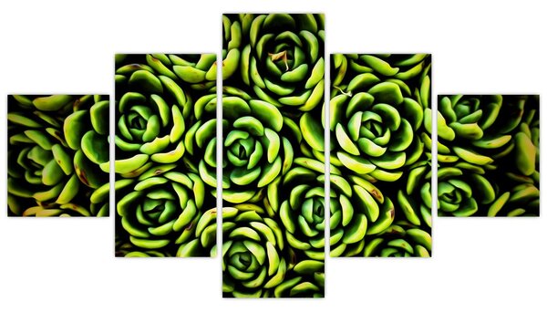 Obraz bez grzywki (125x70 cm)
