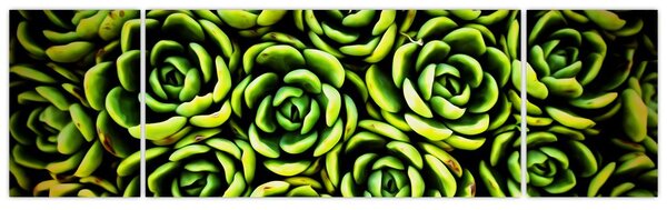 Obraz bez grzywki (170x50 cm)