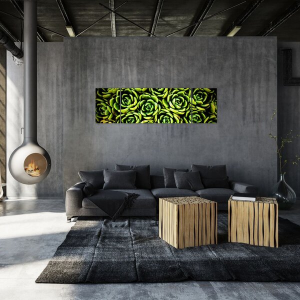 Obraz bez grzywki (170x50 cm)