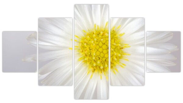 Obraz - Margarita (125x70 cm)