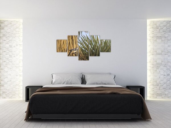 Obraz - Strzyżyk (125x70 cm)
