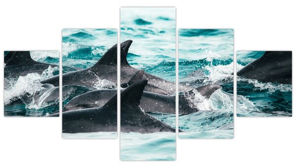 Obraz - Delfiny w oceanie (125x70 cm)