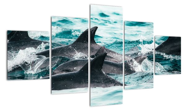 Obraz - Delfiny w oceanie (125x70 cm)