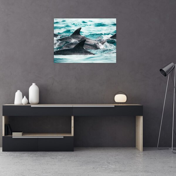 Obraz - Delfiny w oceanie (70x50 cm)