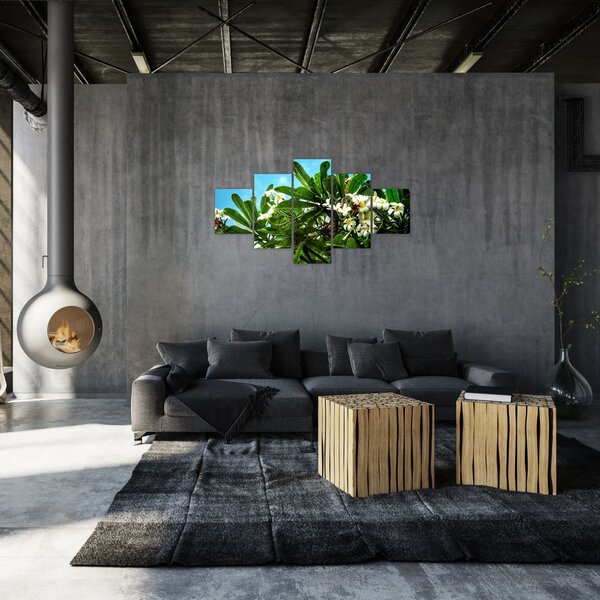 Obraz - Plumeria (125x70 cm)