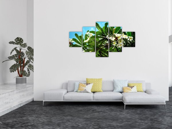 Obraz - Plumeria (125x70 cm)