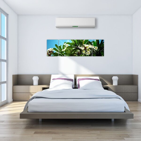 Obraz - Plumeria (170x50 cm)