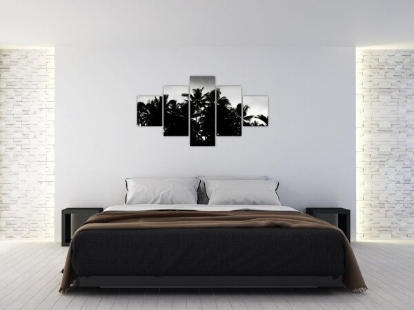 Obraz czarno - biały - palmy (125x70 cm)