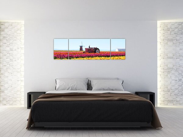 Obraz farmy tulipanów (170x50 cm)