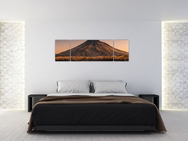 Obraz odbicia góry Taranaki, Nowa Zelandia (170x50 cm)