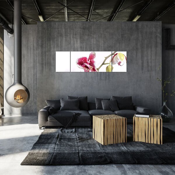 Obraz kwiatu orchidei (170x50 cm)