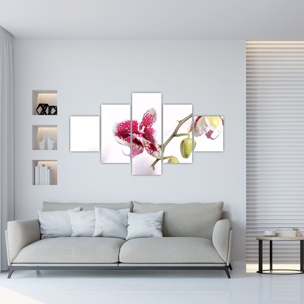 Obraz kwiatu orchidei (125x70 cm)